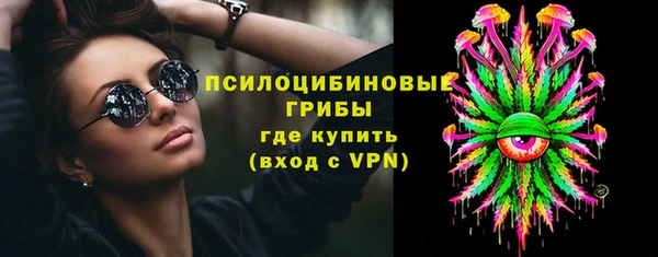 амф Алексин