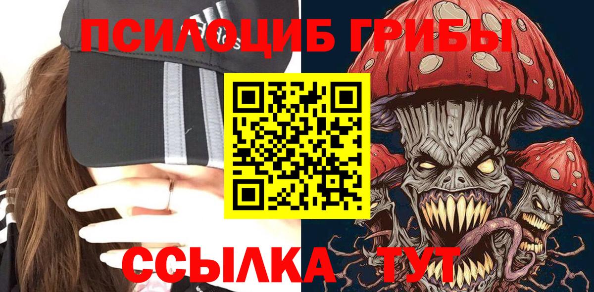 Галлюциногенные грибы Cubensis Архангельск