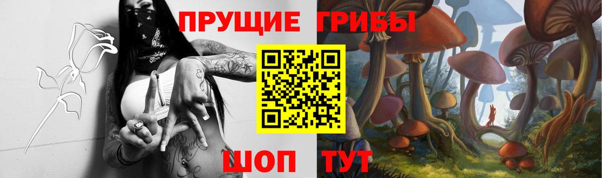 Псилоцибиновые грибы MAGIC MUSHROOMS  Галлюциногенные грибы GOLDEN TEACHER  Вход с VPN  купить наркотики цена  Архангельск 